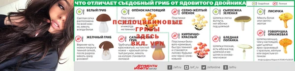 сатива Богданович