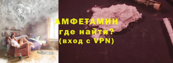 сатива Богданович