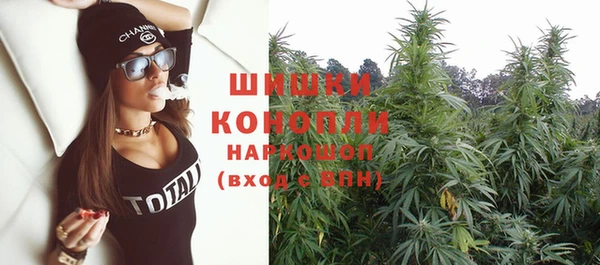 крисы Богородск