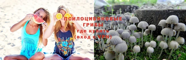 крисы Богородск