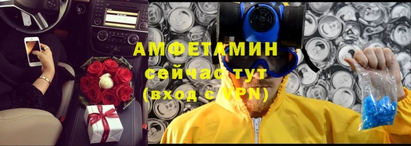 сатива Богданович