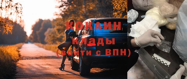 сатива Богданович