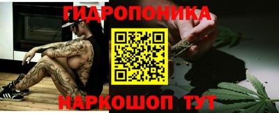 гашиш Кингисепп