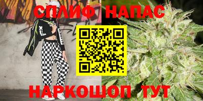гашиш Кингисепп