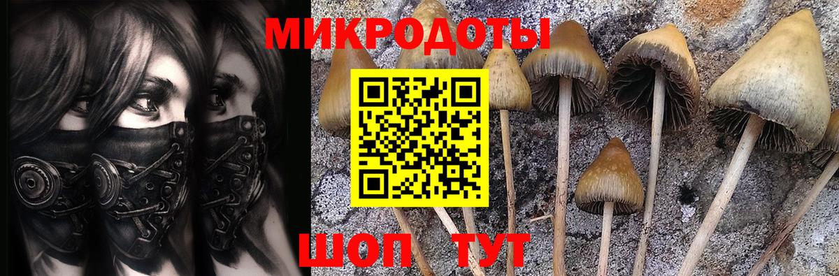 закладки  Вход с VPN  Обь  Псилоцибиновые грибы Magic Shrooms 